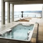 A luxurious swim spa installed on a patio in Florida, surrounded by palm trees and bathed in sunshine, showing a person swimming and another relaxing in the seating area.