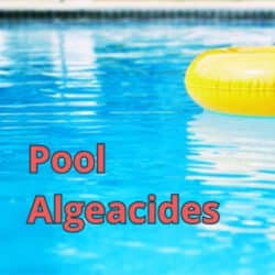 Pool Algaecides